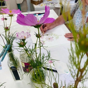 Summer Flowers in Pen and Watercolour with Karen Green - 29th July 2024