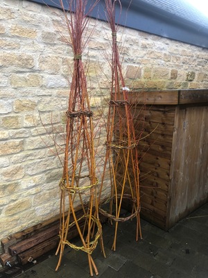 Willow Structures for your Garden with Norah Kennedy - 18th March 2024