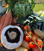 Fresh Vegetable Boxes
