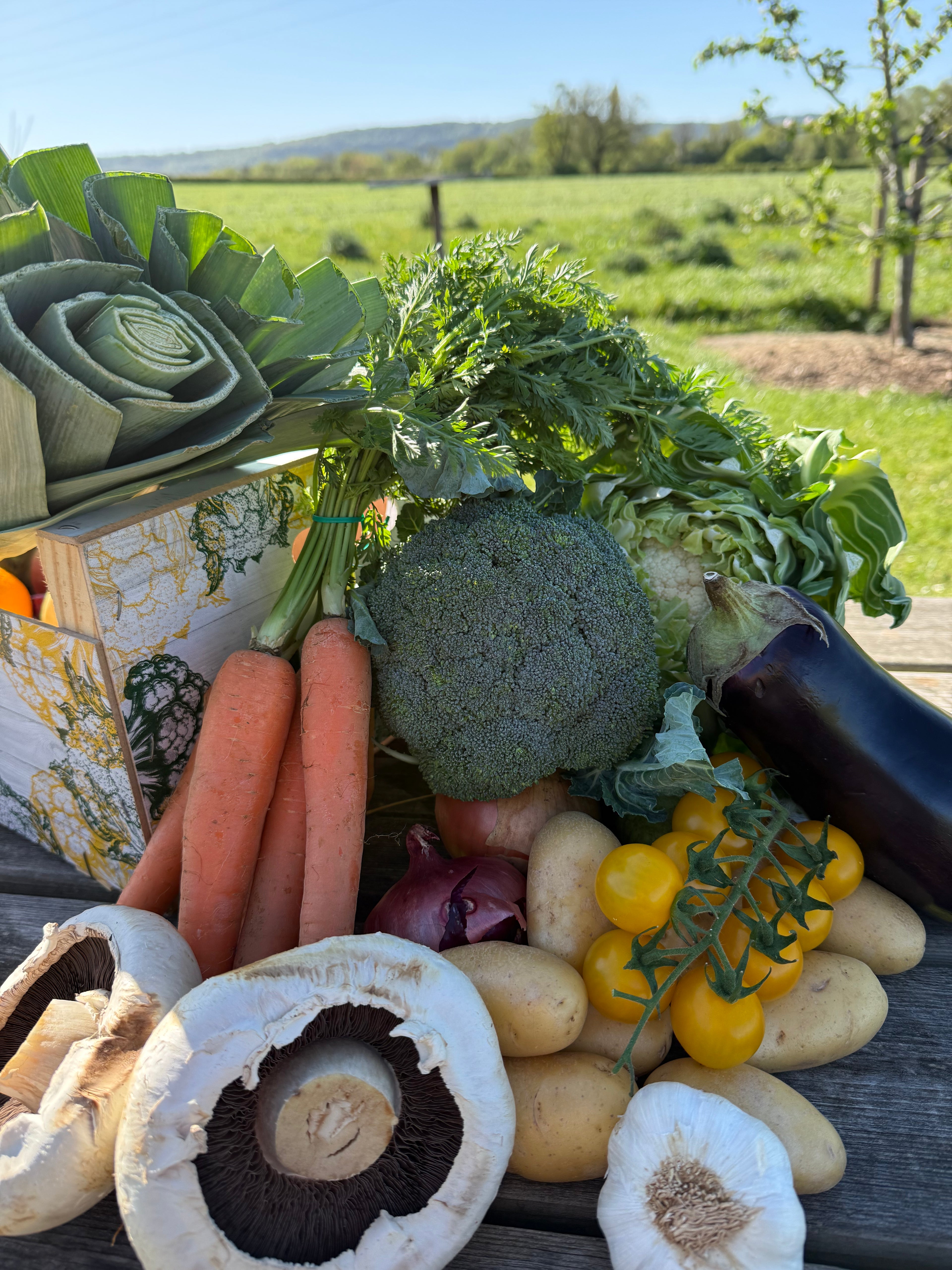 Fresh Vegetable Boxes