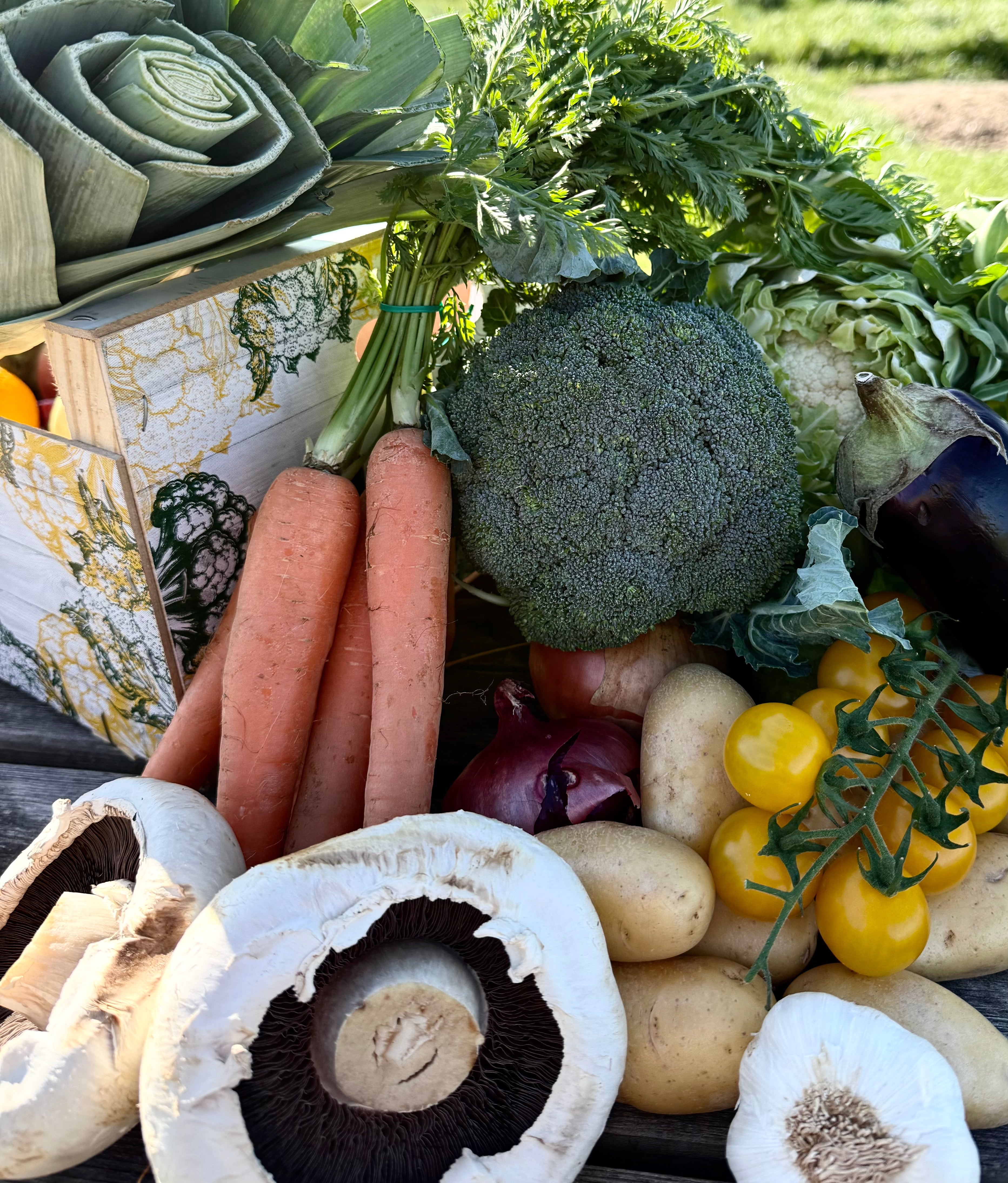 Fresh Vegetable Boxes