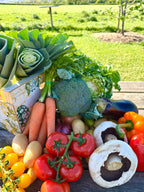 Fresh Vegetable Boxes