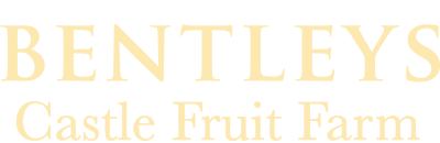 Stockist logo