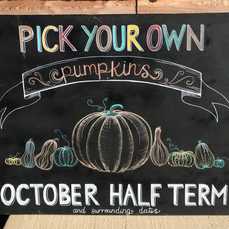 Pumpkin Picking (TEST)