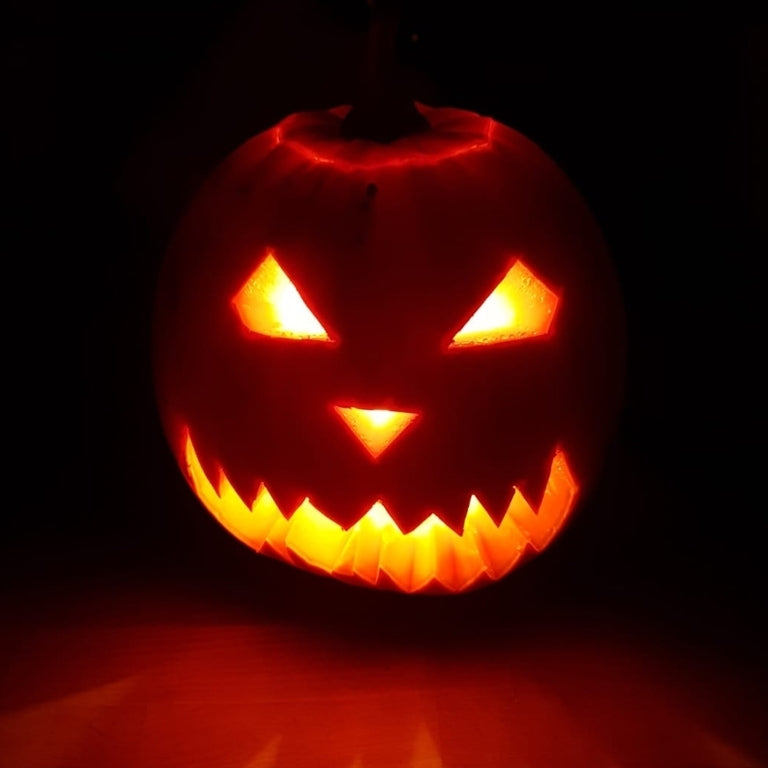 Pumpkin Picking (TEST)